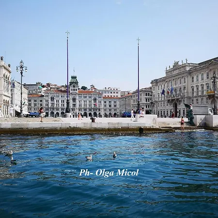 Comfortable And Friendly 公寓