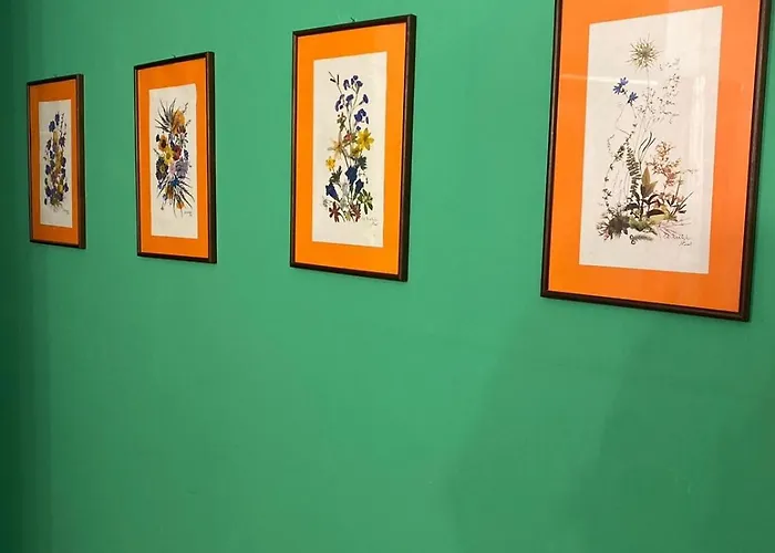 Comfortable And Friendly